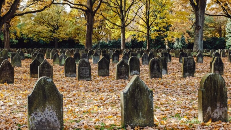 Niepokojąca sytuacja na wrocławskich cmentarzach: miejsca grzebalne wystarczą na około 8 lat